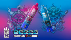BANGBOX 20000 Puffs Disposable Vape Wholesale - VZVAPE