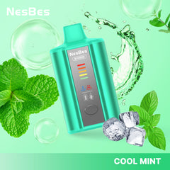 NESBES B10000 Puffs Disposable Vape Wholesale - VZVAPE