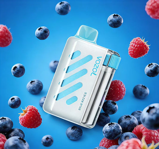 EU Warehouse Vozol Vista 40000 Puffs 20ml Disposable Vape Wholesale