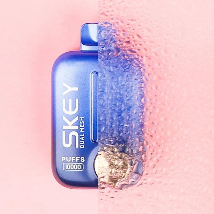 SKEY Ismart 10000 Puffs Disposable Vape Wholesale - VZVAPE