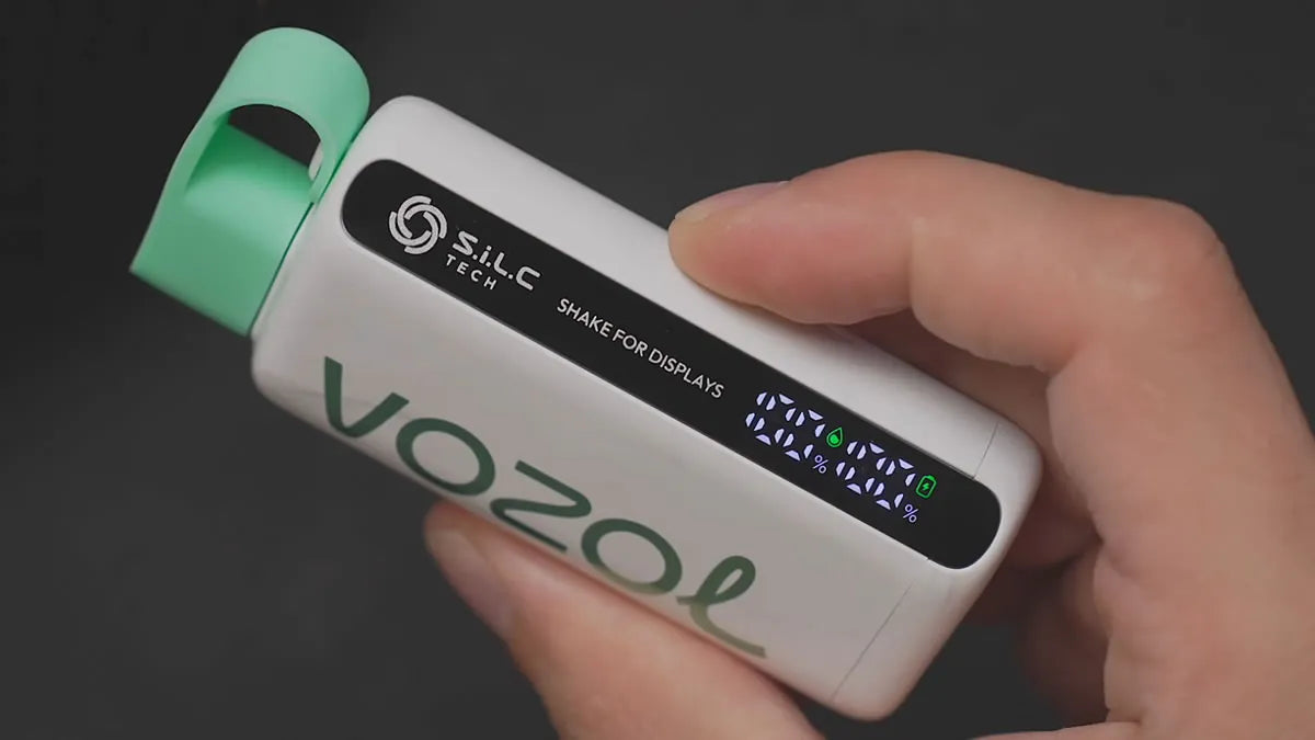 VOZOL STAR 9000 Puffs Disposable Vape Wholesale - VZVAPE