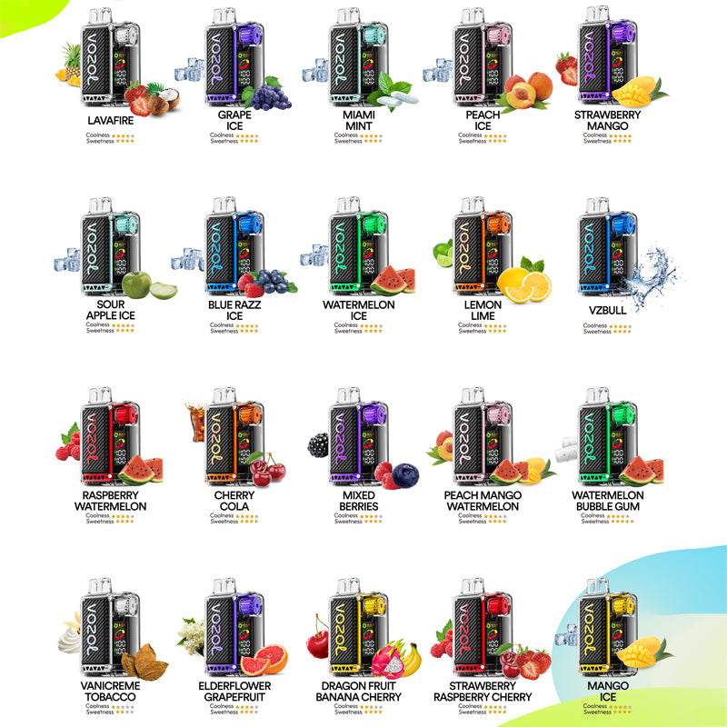 VOZOL VISTA 20000 Puffs Disposable Vape Wholesale - VZVAPE