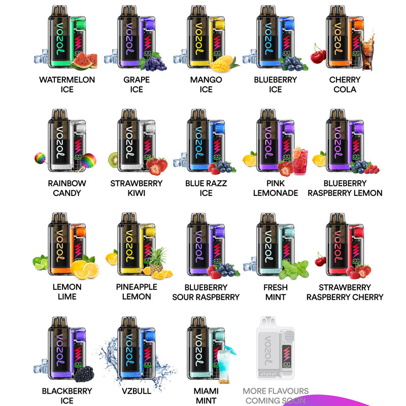 VOZOL VISTA 10000 Puffs Disposable Vape Wholesale - [VzVape.com]