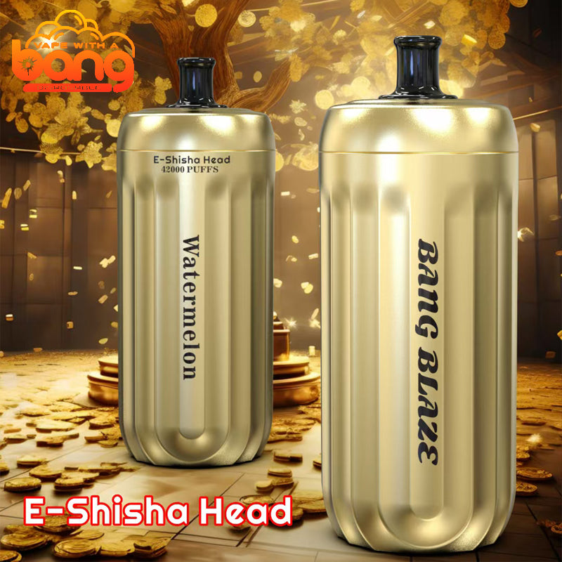 BANG E-Shisha Head 42000 Puffs Disposable Vape Wholesale - [VzVape.com]