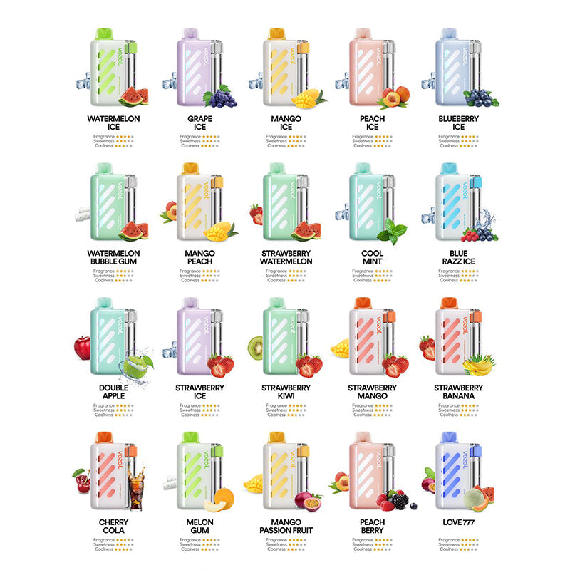 EU Warehouse VOZOL Vista 40000 Puffs 20ml Disposable Vape Wholesale - VZVAPE