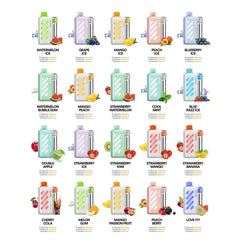 EU Warehouse VOZOL Vista 40000 Puffs 20ml Disposable Vape Wholesale - VZVAPE