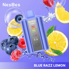NESBES B10000 Puffs Disposable Vape Wholesale - VZVAPE