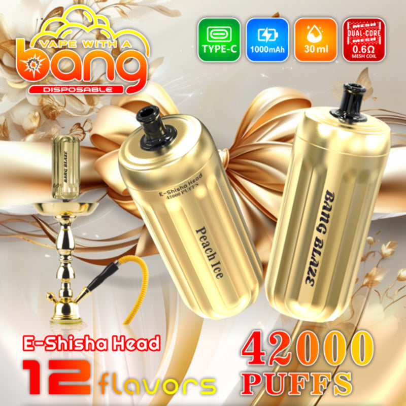 BANG E-Shisha Head 42000 Puffs Disposable Vape Wholesale - [VzVape.com]