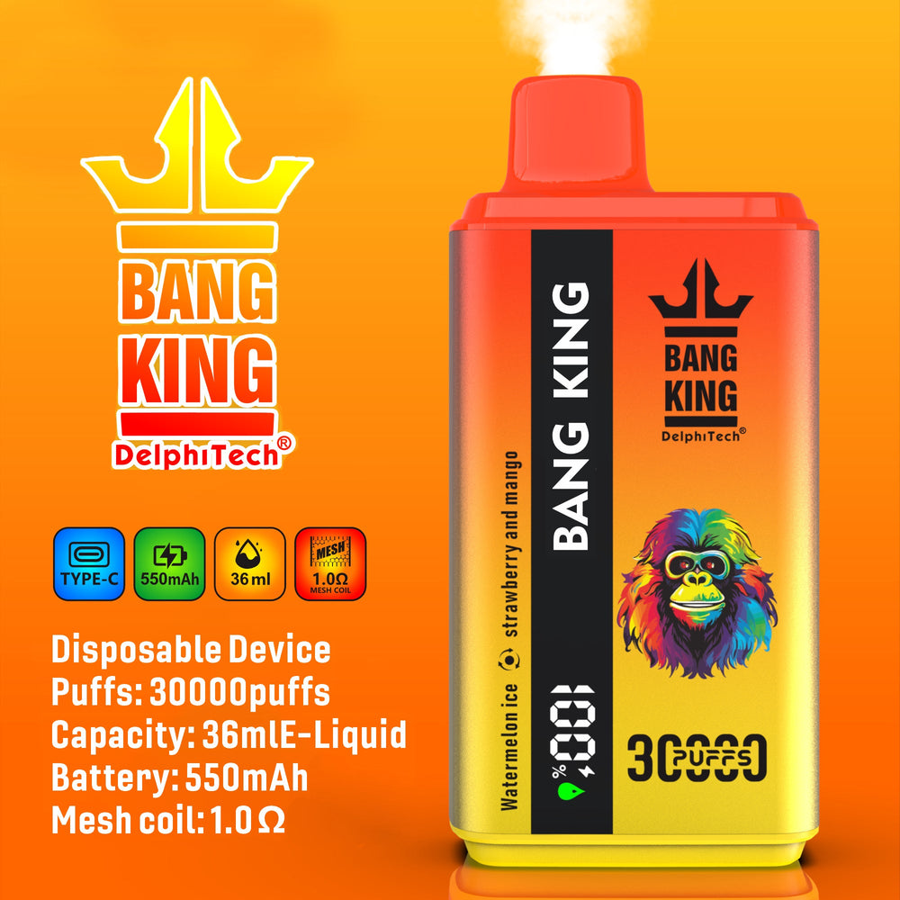 EU Warehouse BANG KING 30000Puffs DisposableVape Wholesale - [VzVape.com]