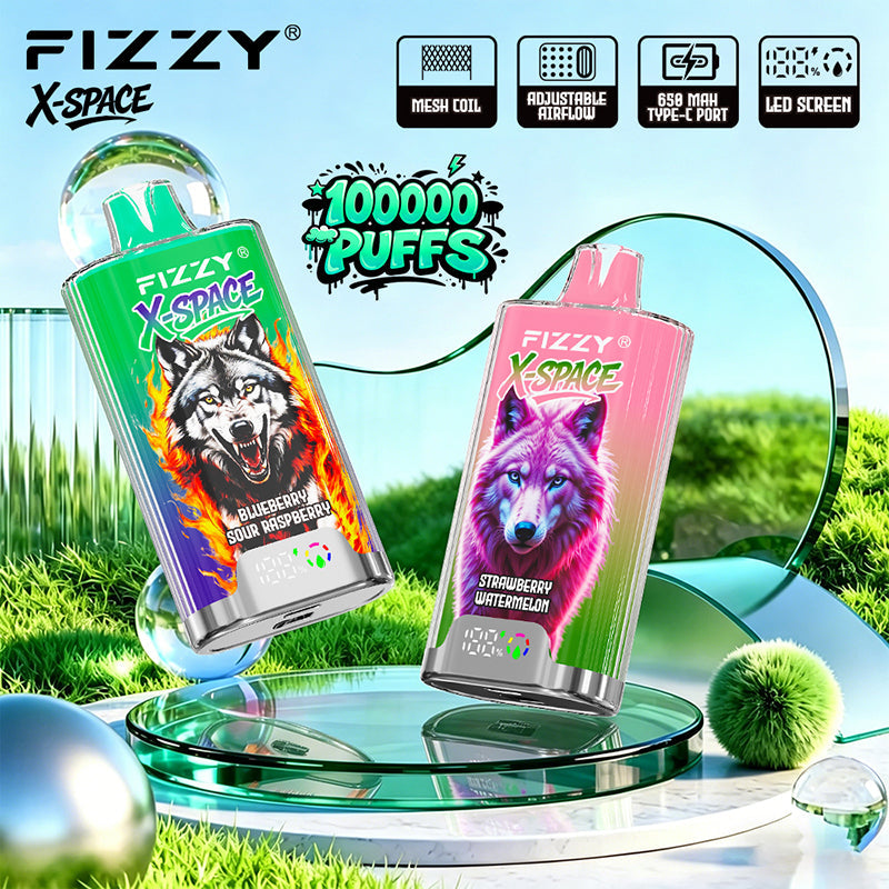 EU Warehouse FIZZY X-SPACE 100K Puffs Disposable Vape Wholesale - [VzVape.com]