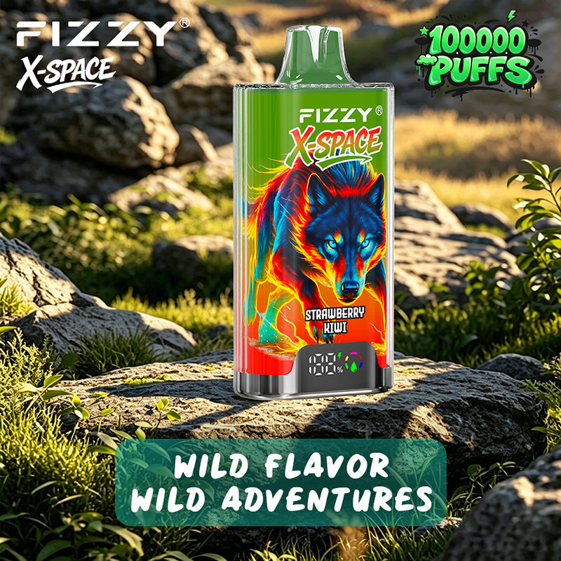 EU Warehouse FIZZY X-SPACE 100K Puffs Disposable Vape Wholesale - [VzVape.com]