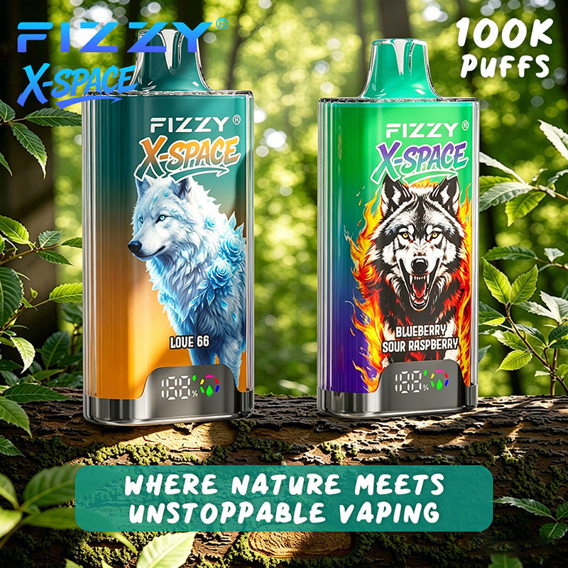 EU Warehouse FIZZY X-SPACE 100K Puffs Disposable Vape Wholesale - [VzVape.com]