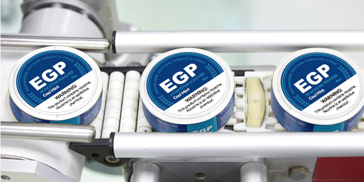 EGP Nicotine Pouch Snus Wholesale - VZVAPE