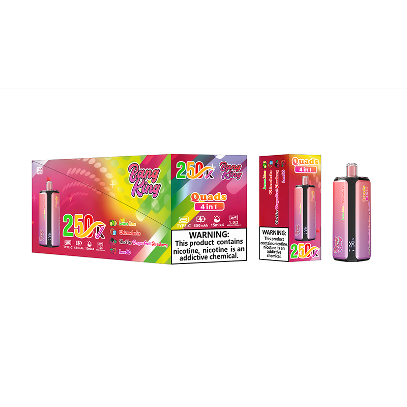 BANG KING 4 IN 1 250K  Puffs Disposable Vape Wholesale - [VzVape.com]