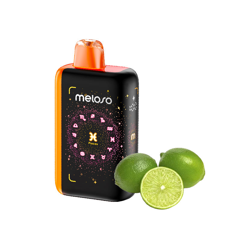 Geek Bar Meloso Bar 30000 Puffs Disposable Vape Wholesale - Vapz Vape Wholesale