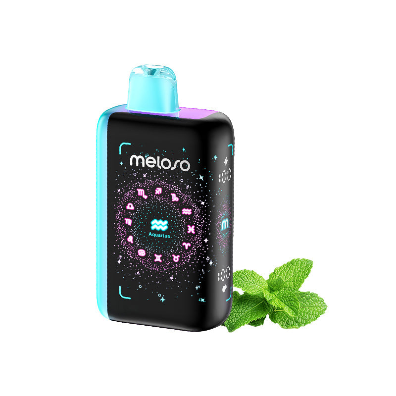 Geek Bar Meloso Bar 30000 Puffs Disposable Vape Wholesale - [VzVape.com]