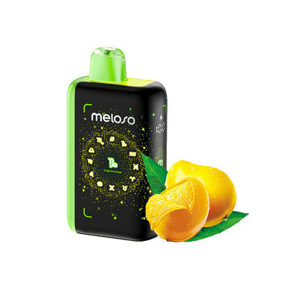 Geek Bar Meloso Bar 30000 Puffs Disposable Vape Wholesale - [VzVape.com]