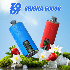 EU Warehouse ZOOY shisha 50000 Puffs Disposable Vape Wholesale